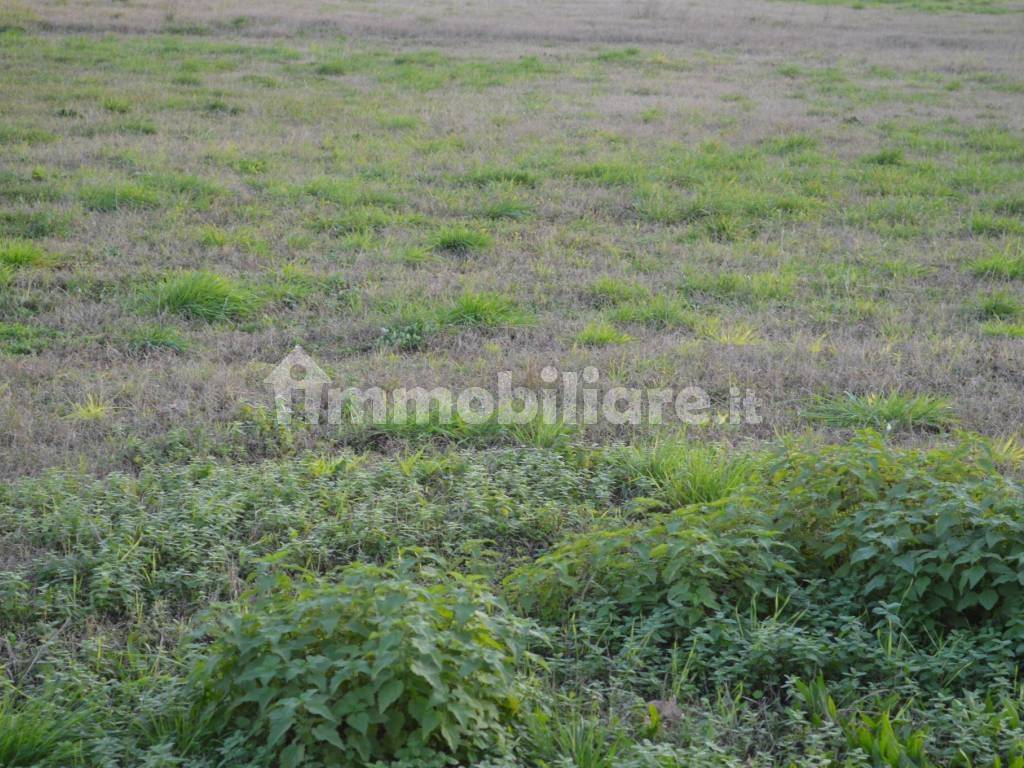 Terreno a Buttapietra - Foto 4