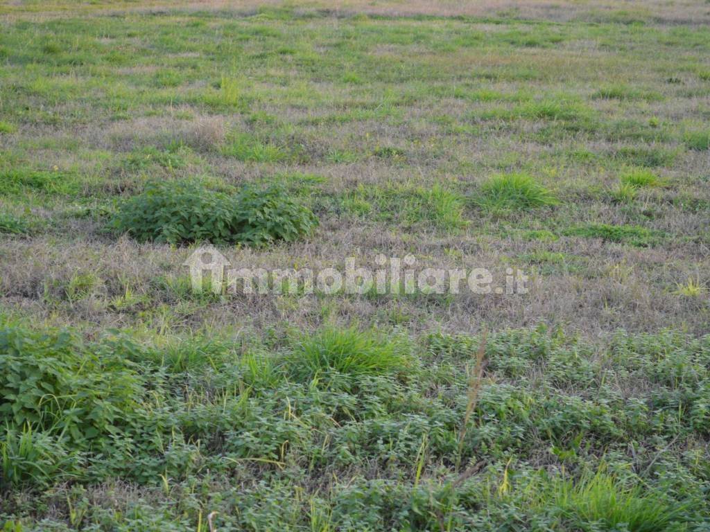 Terreno a Buttapietra - Foto 5