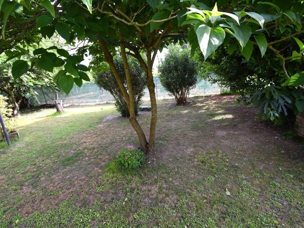 Casa indipendente a Russi - Foto 2