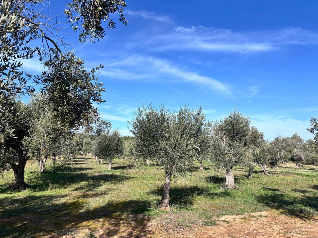 Terreno a Lecce in Via dei Nespoli - Foto 3