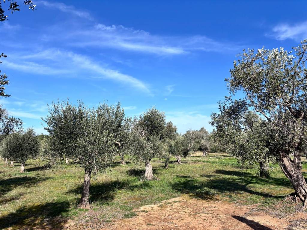 Terreno a Lecce in Via dei Nespoli - Foto 4