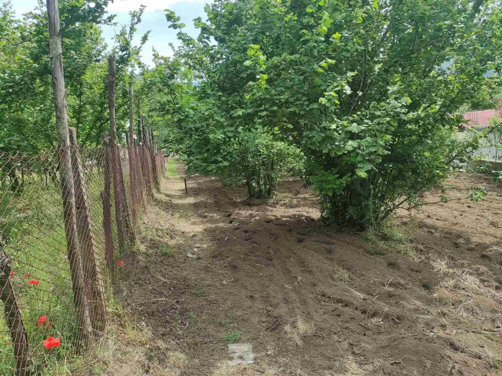Terreno a Castel san giorgio in Via Paterno - Foto 2
