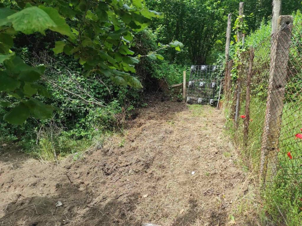 Terreno a Castel san giorgio in Via Paterno - Foto 3