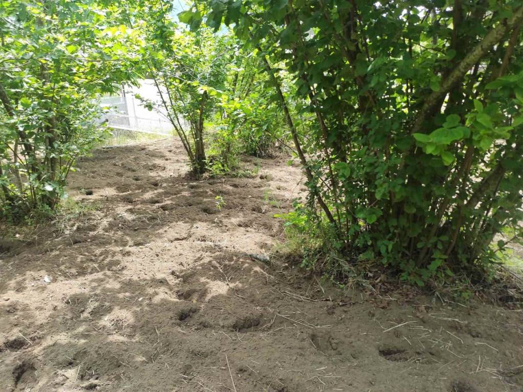 Terreno a Castel san giorgio in Via Paterno - Foto 5