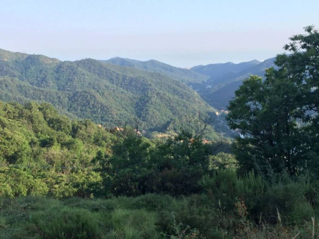 Terreno a Stella - Foto 2