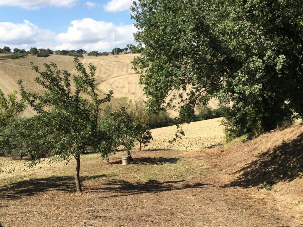 Rustico / casale a Montecassiano in Via Giuseppe Garibaldi - Foto 3