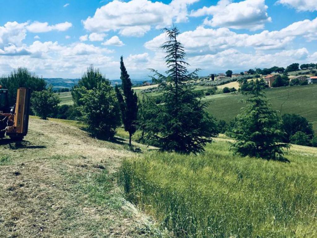 Rustico / casale a Montecassiano in Via Giuseppe Garibaldi - Foto 4