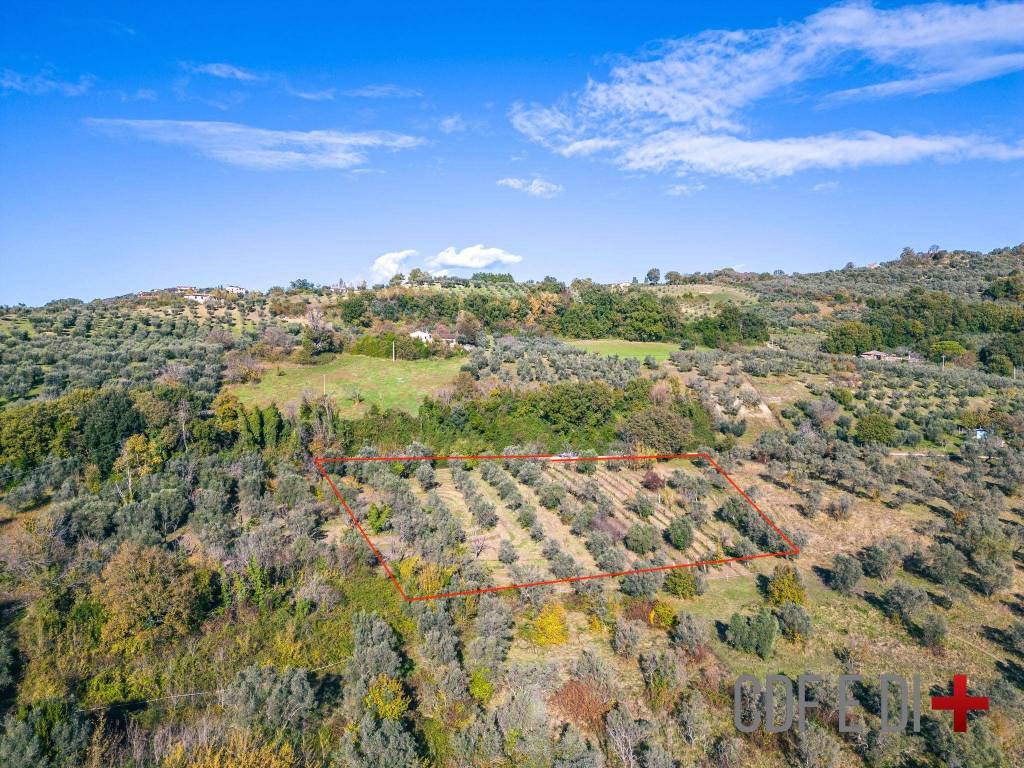 Terreno a Toffia in Via Farense - Foto 2
