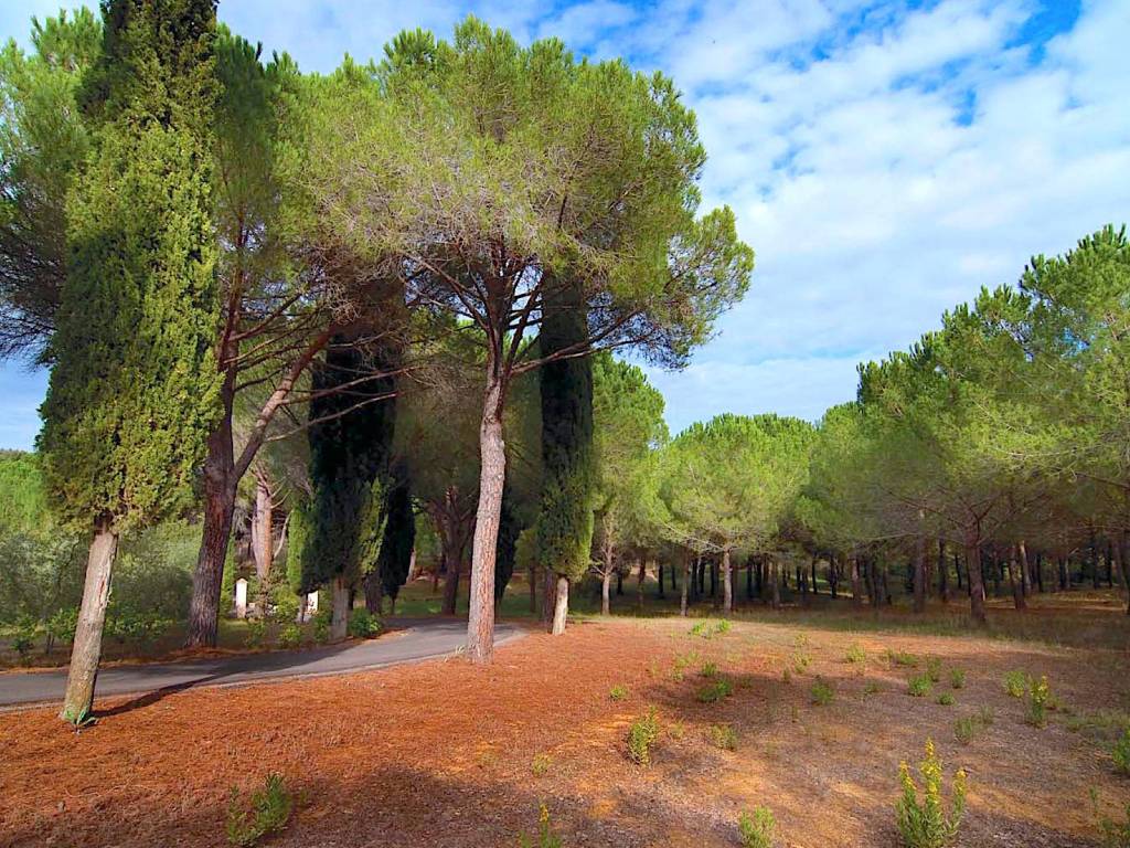 Villa a Castiglione della pescaia in Località Porta al Colle - Foto 3