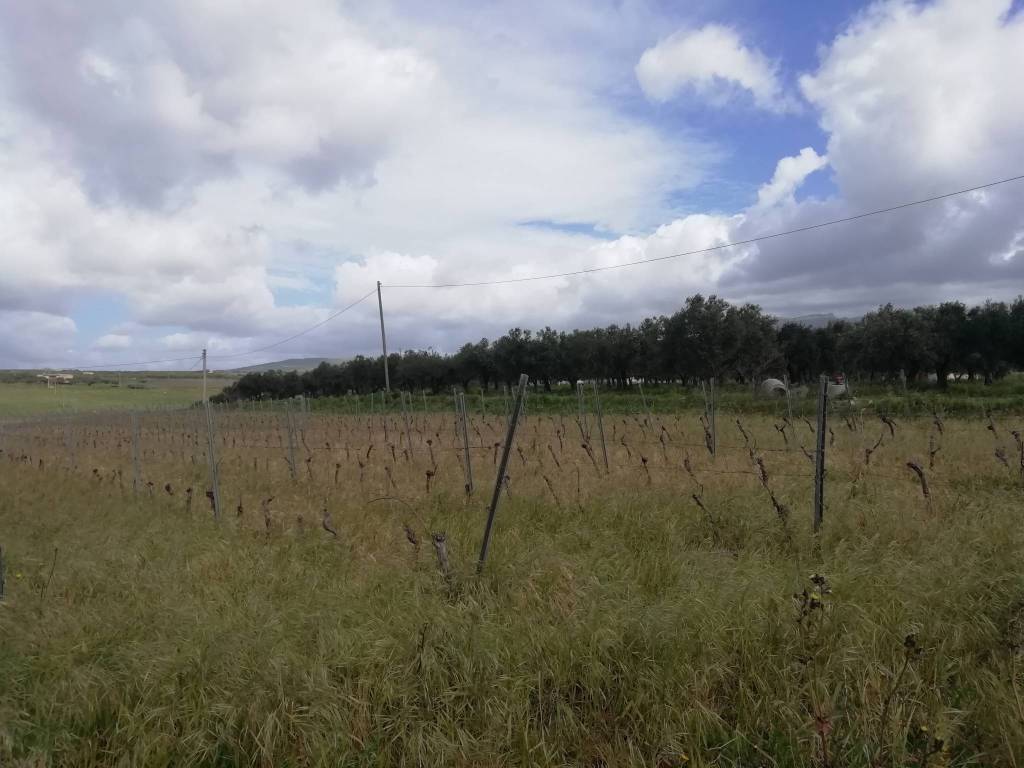 Terreno a Sambuca di sicilia in Contrada Arancio - Foto 2