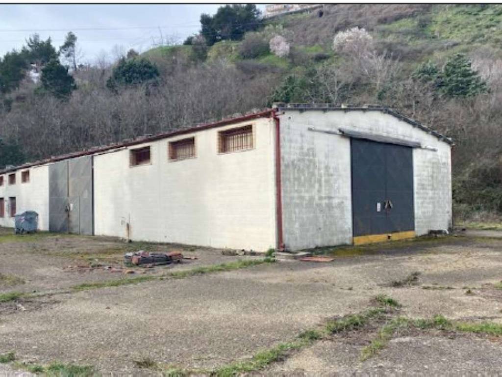 Immobile a Sant'agata di puglia in contrada CONTRADA TOFARA DI SOPRA snc - Foto 4