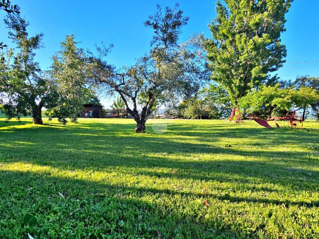 Casa indipendente a Tavoleto in VIA giordano bruno - Foto 5