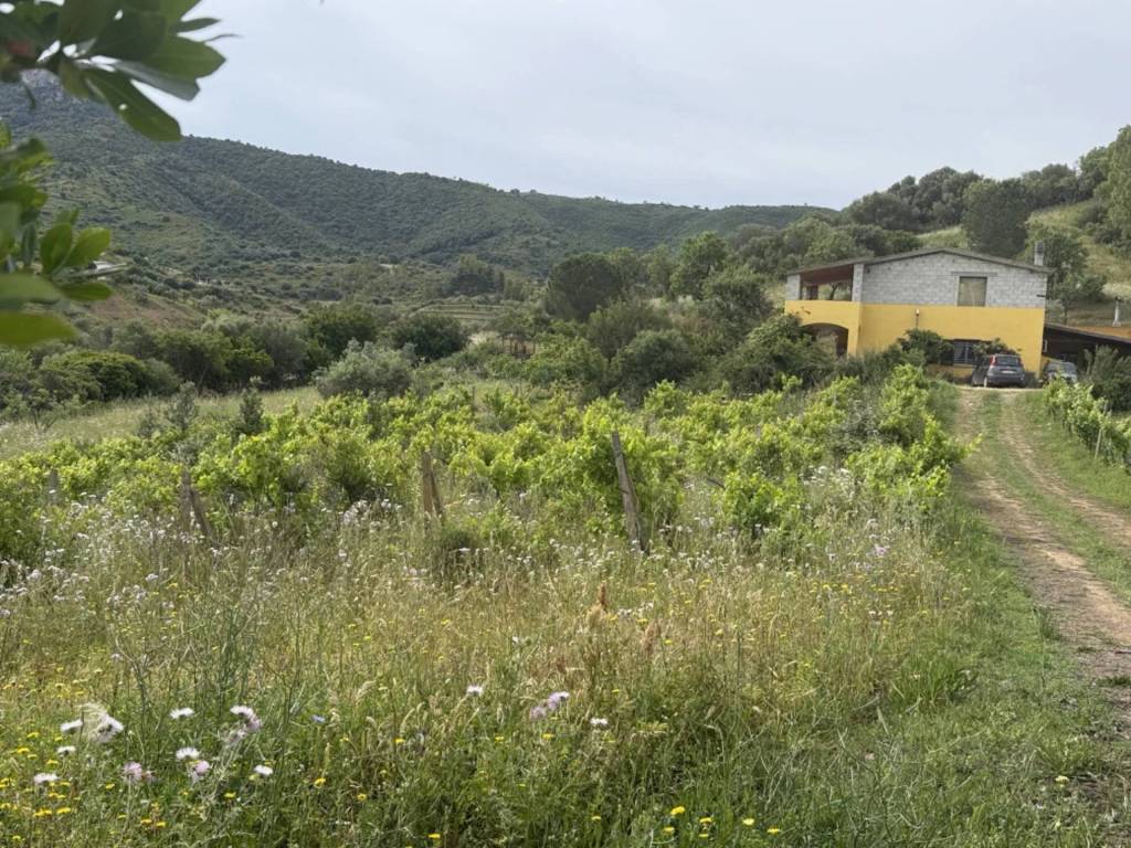 Appartamento a Torpè - Foto 2