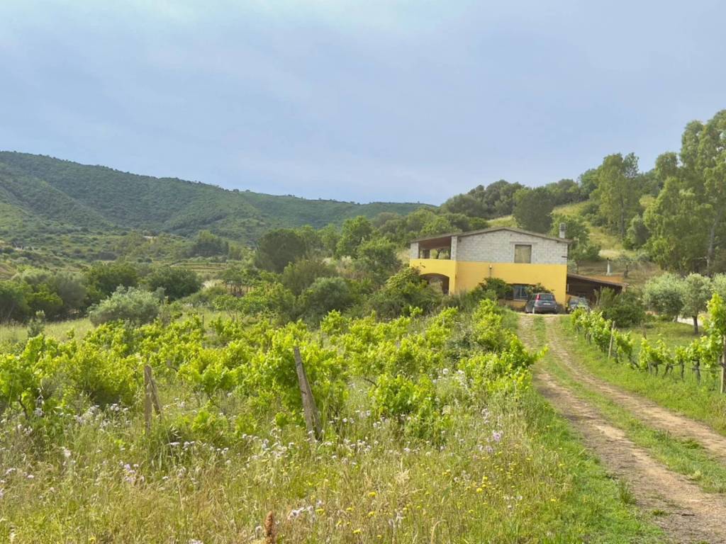 Appartamento a Torpè - Foto 4