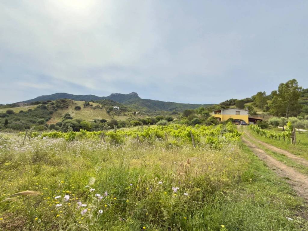 Appartamento a Torpè - Foto 5