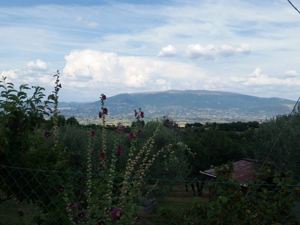 Casa indipendente a Cannara in Strada Provinciale di Collemancio - Foto 5