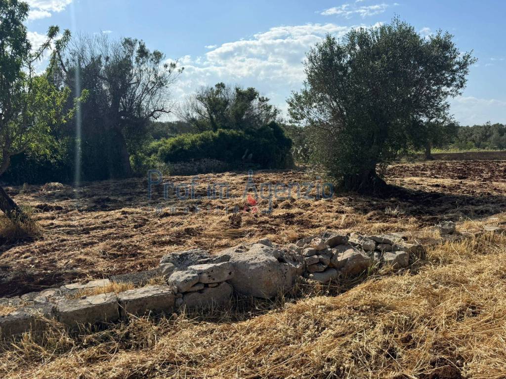 Terreno a Carovigno - Foto 2