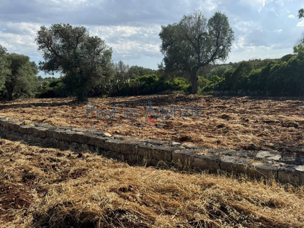 Terreno a Carovigno - Foto 3
