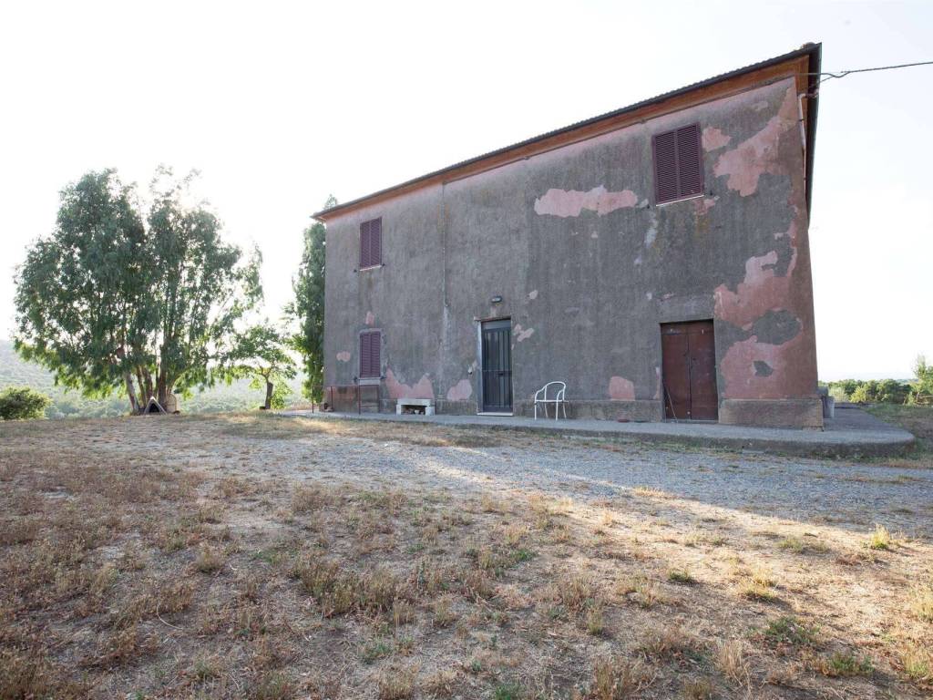 Rustico / casale a Magliano in toscana - Foto 3