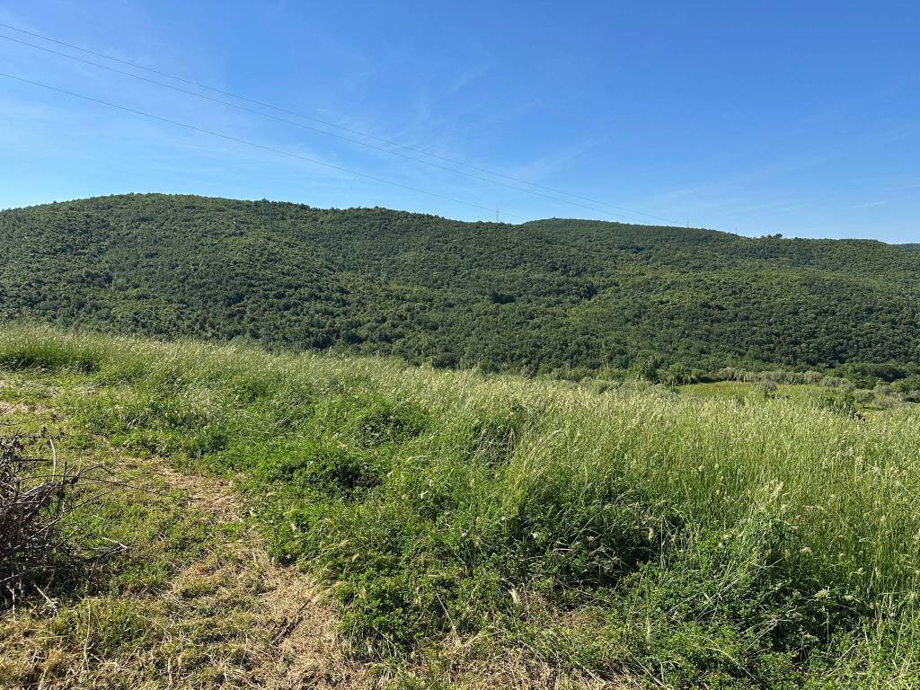 Rustico / casale a Monterotondo marittimo - Foto 5