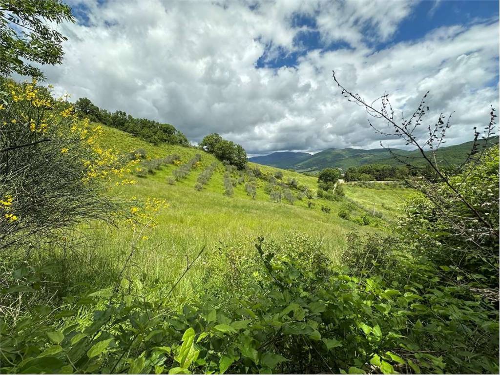Terreno a Nocera umbra in Frazione Largnano - Foto 2