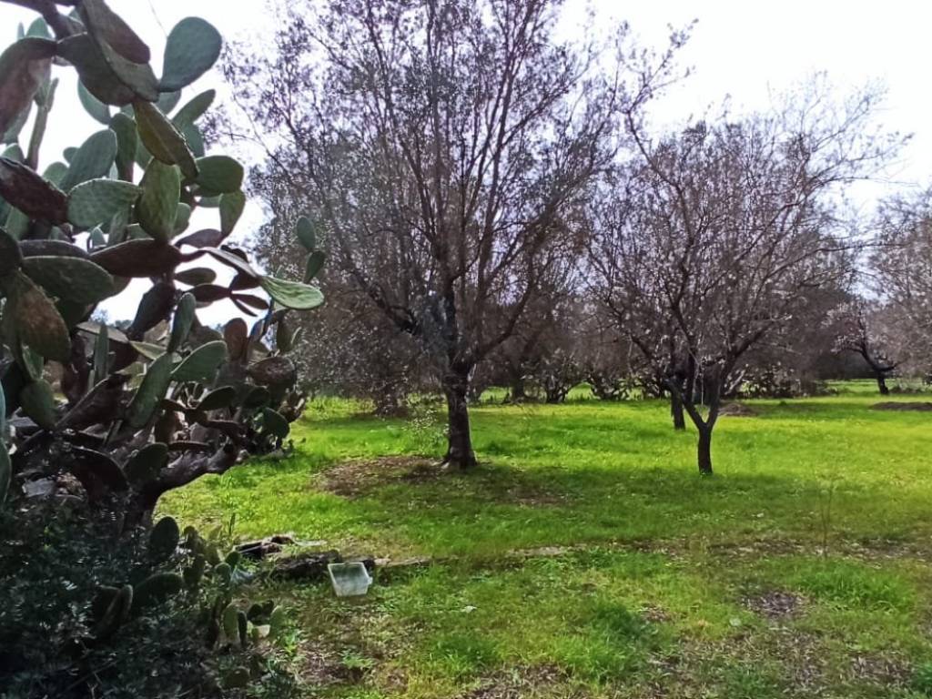 Rustico / casale a Francavilla fontana in SP53 - Foto 3
