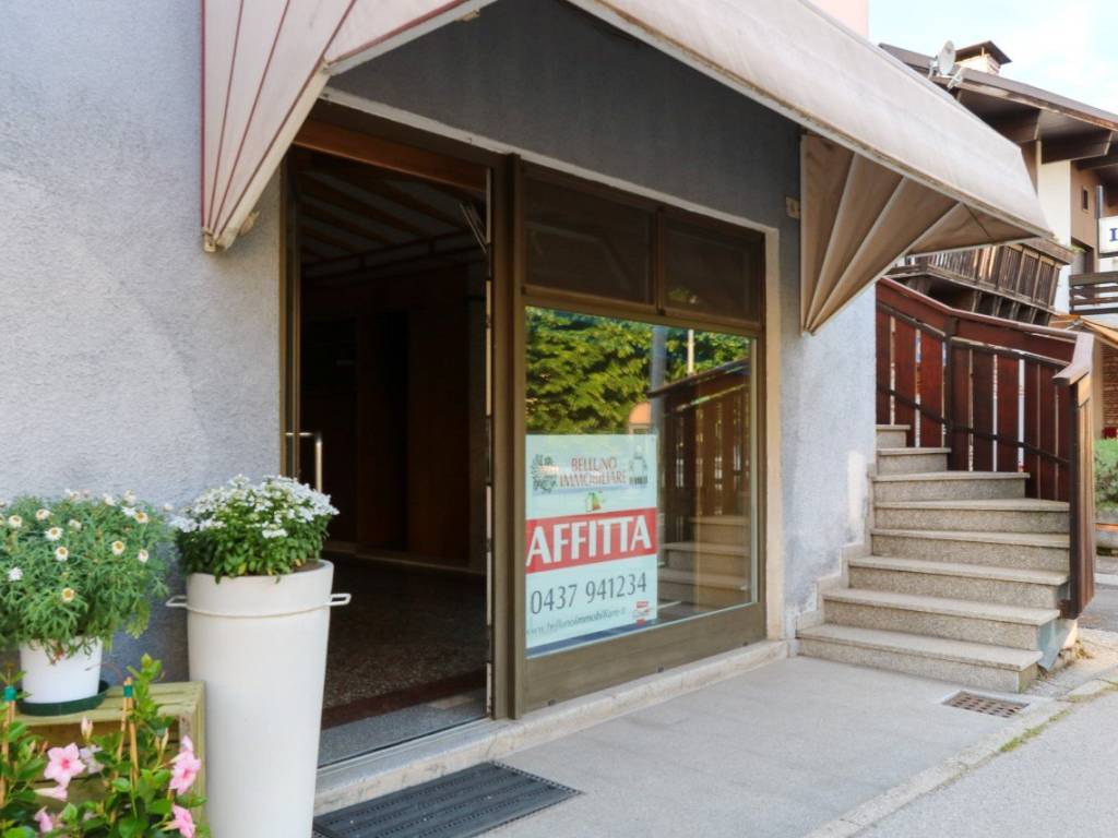 Immobile a Belluno - Foto 3