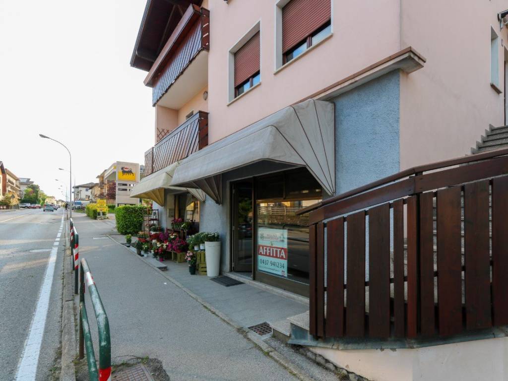 Immobile a Belluno - Foto 4