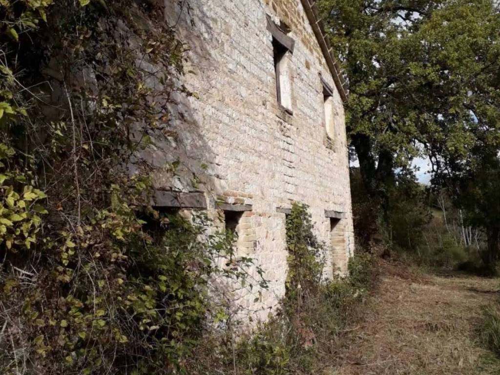 Rustico / casale a Arcevia in Frazione Prosano - Foto 2