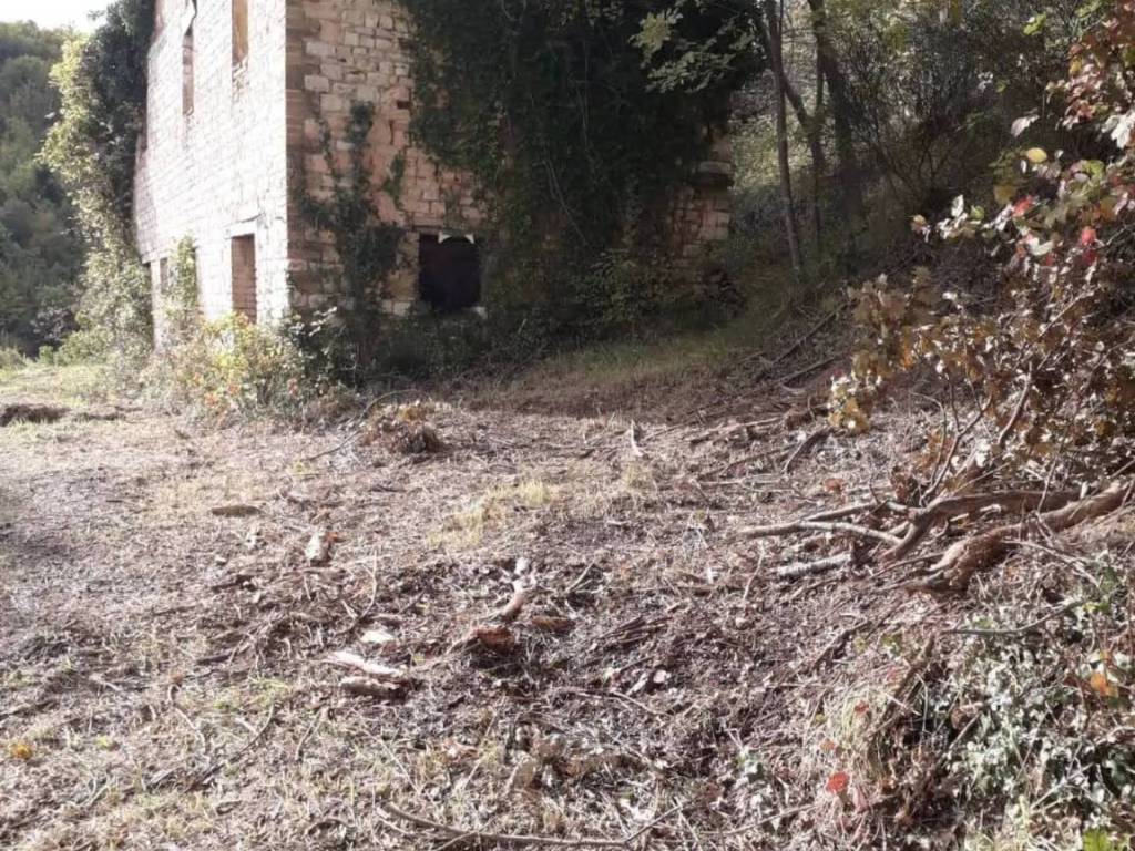 Rustico / casale a Arcevia in Frazione Prosano - Foto 3