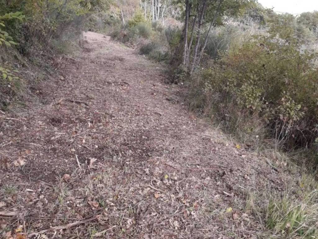 Rustico / casale a Arcevia in Frazione Prosano - Foto 5