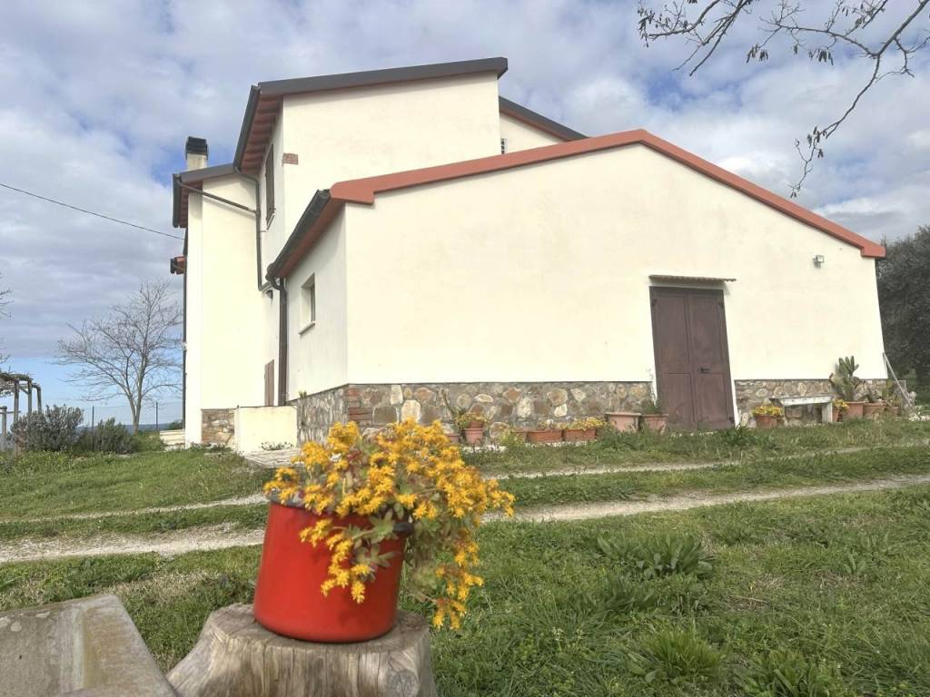 Rustico / casale a Campagnatico in ARCILLE VICINANZA - Foto 5
