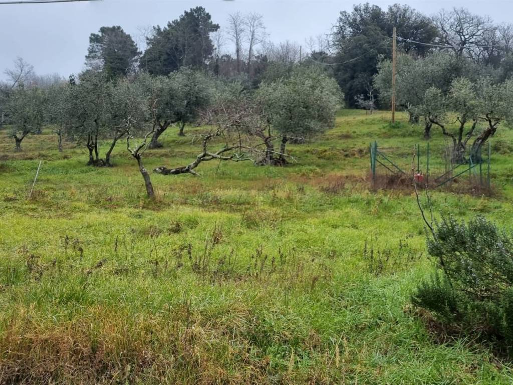 Casa indipendente a Pistoia - Foto 4
