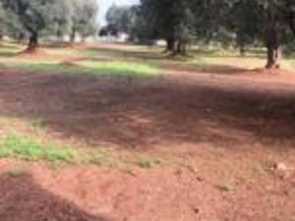 Rustico / casale a Ostuni in Contrada Montecaruso S.N.C. - Foto 3