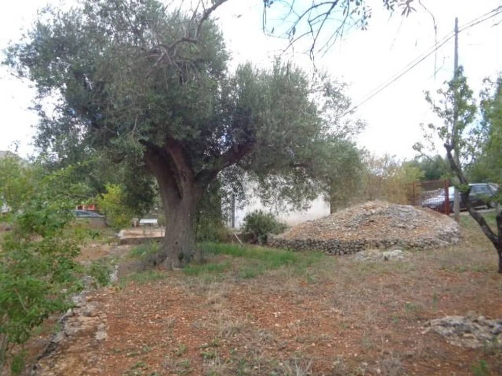Rustico / casale a Ostuni in Strada Provinciale 28 S.N.C. - Foto 5