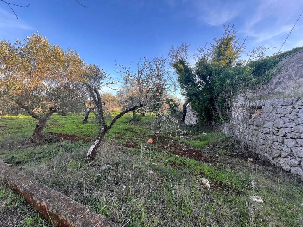 Rustico / casale a Ostuni in Strada Provinciale 28 S.N.C. - Foto 4