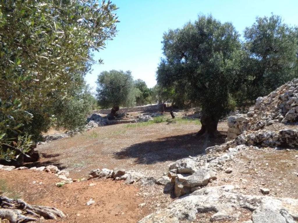 Rustico / casale a Ostuni in Area Residenziale 111 Via Ludovico - Corso Umberto I - Vittorio Emanuele - Foto 4