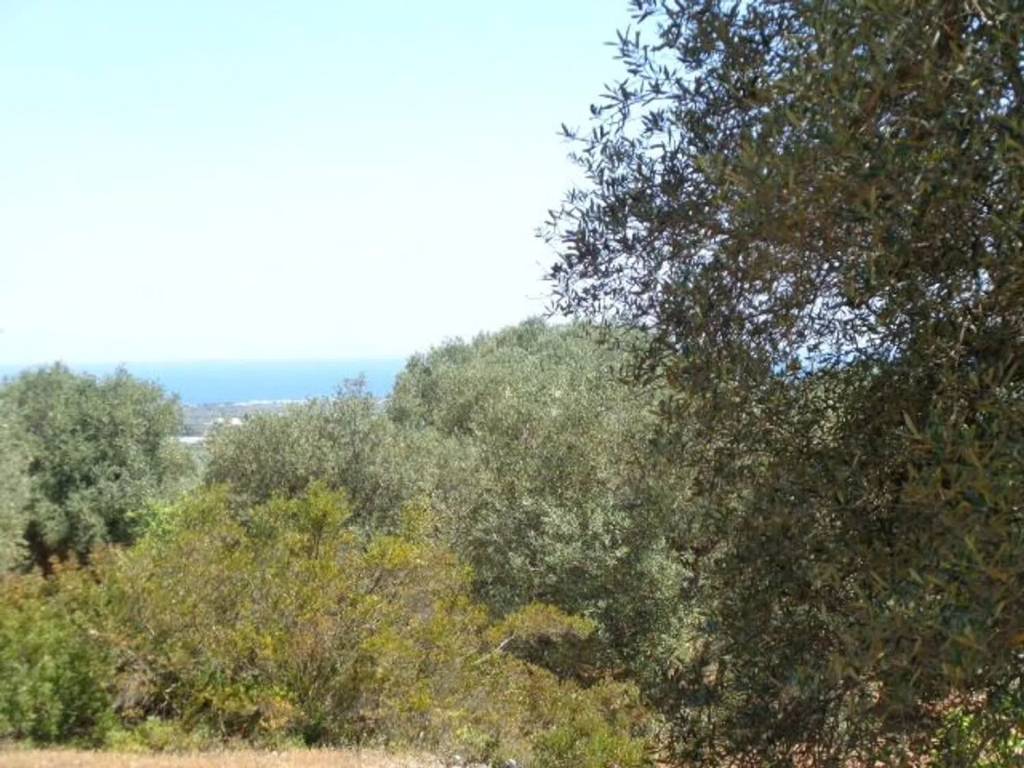 Rustico / casale a Ostuni in Area Residenziale 111 Via Ludovico - Corso Umberto I - Vittorio Emanuele - Foto 5