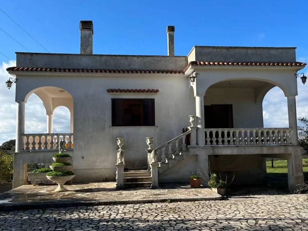 immagine di copertina