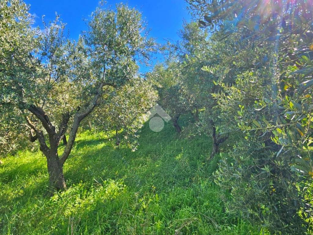 Terreno a Tavoleto in Via giordano bruno - Foto 5