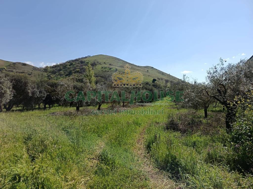 Terreno a Castel morrone in Via Finestre - Foto 3