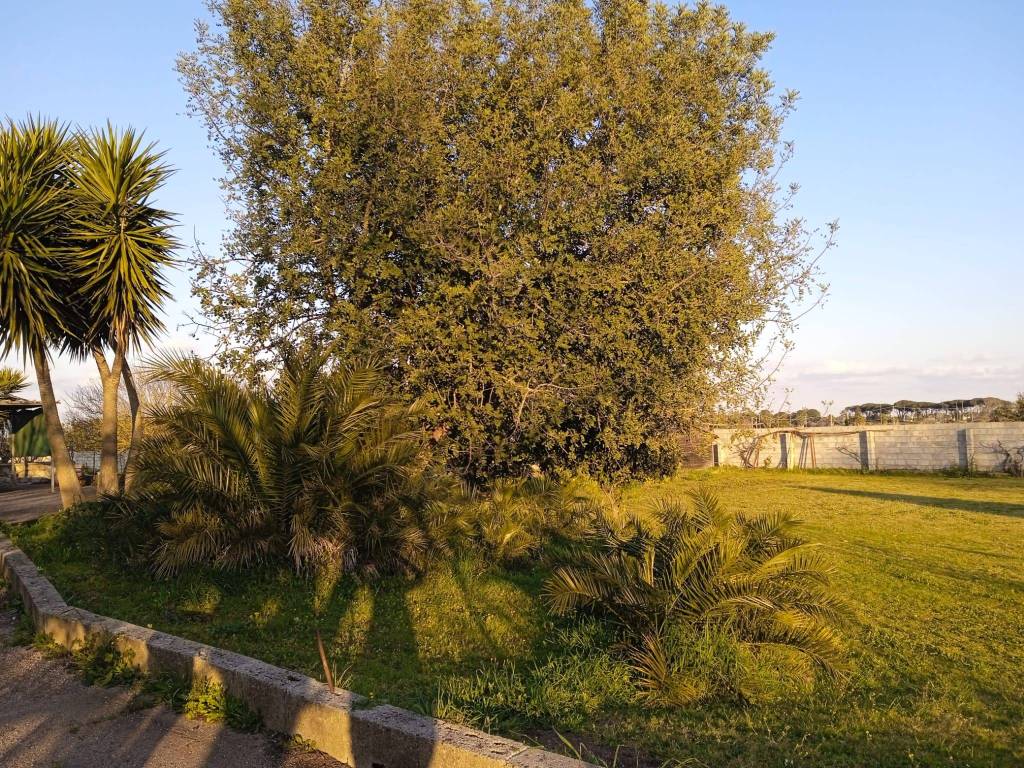 Villa a Maglie in Strada Comunale Vecchia Corigliano - Foto 2