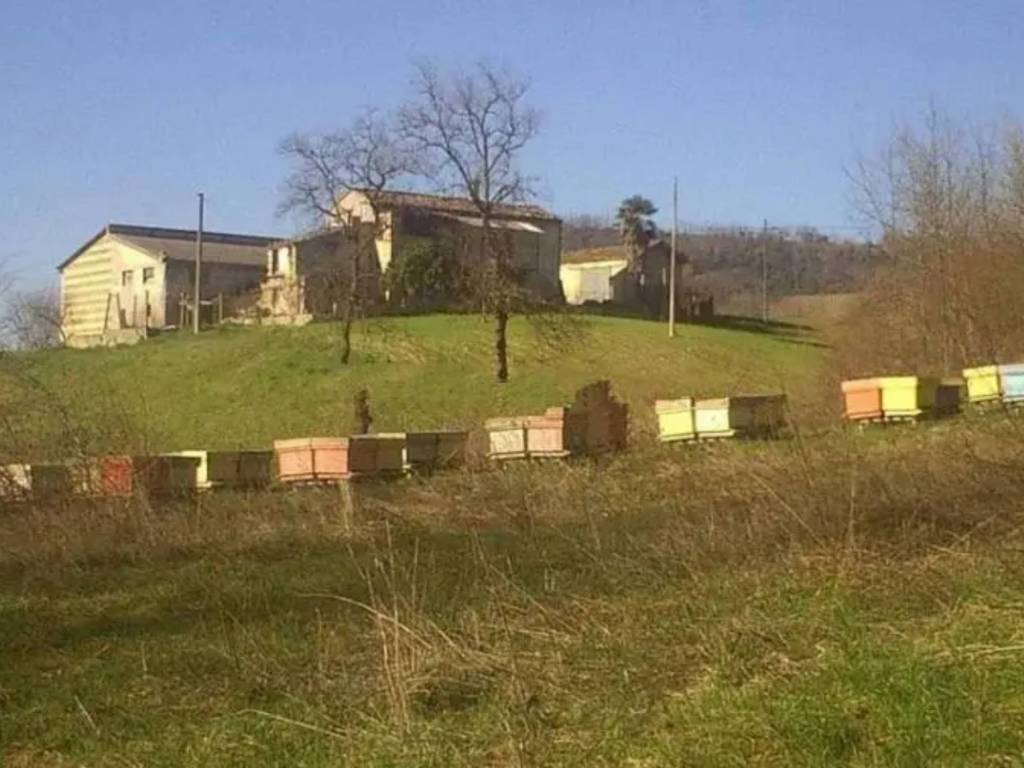 Rustico / casale a San martino sulla marrucina in Via Piane - Foto 3