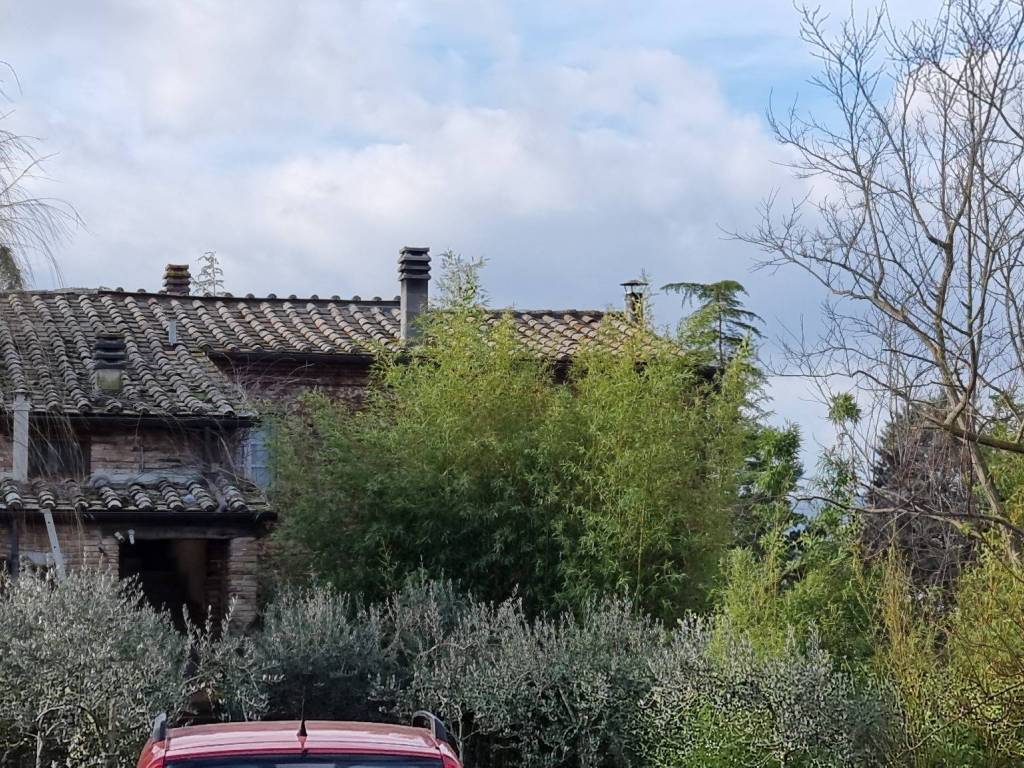 Rustico / casale a Foiano della chiana in Via Cisternella - Foto 3