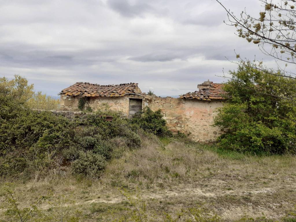 Rustico / casale a Torgiano in signoria - Foto 2