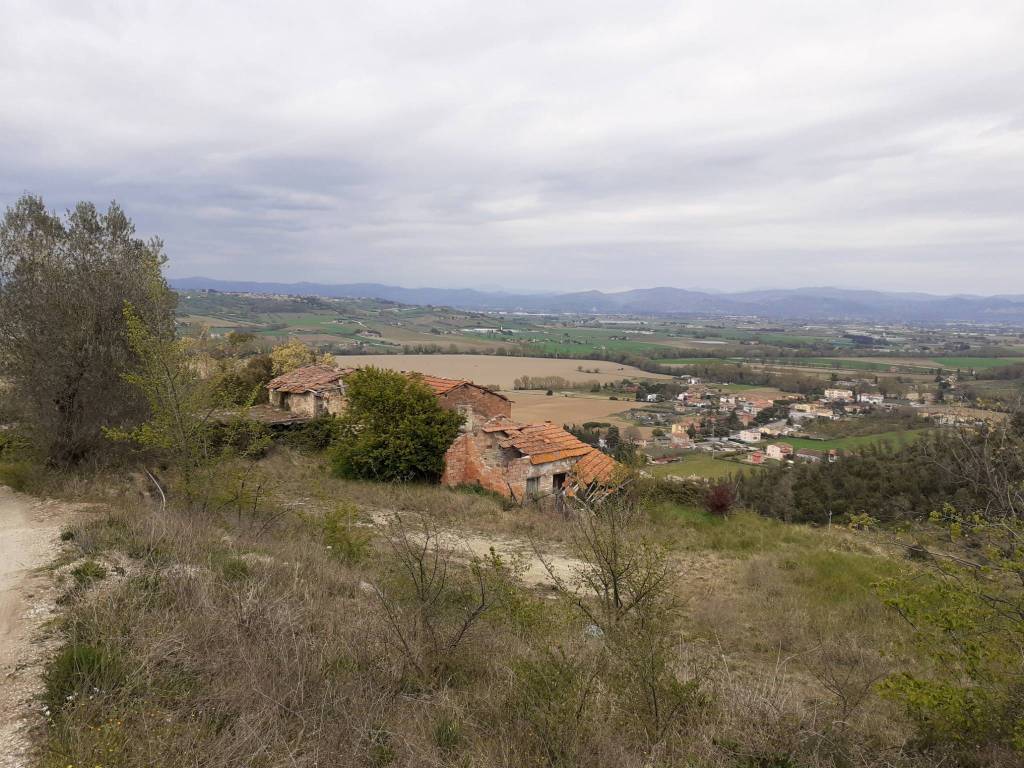 Rustico / casale a Torgiano in signoria - Foto 3