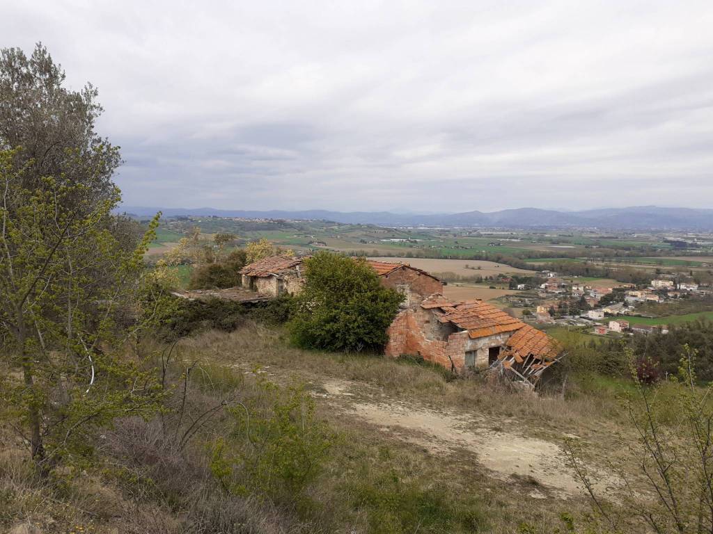 Rustico / casale a Torgiano in signoria - Foto 4