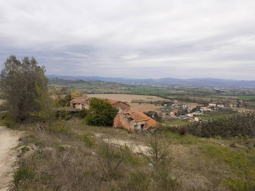 Rustico / casale a Torgiano in signoria - Foto 5