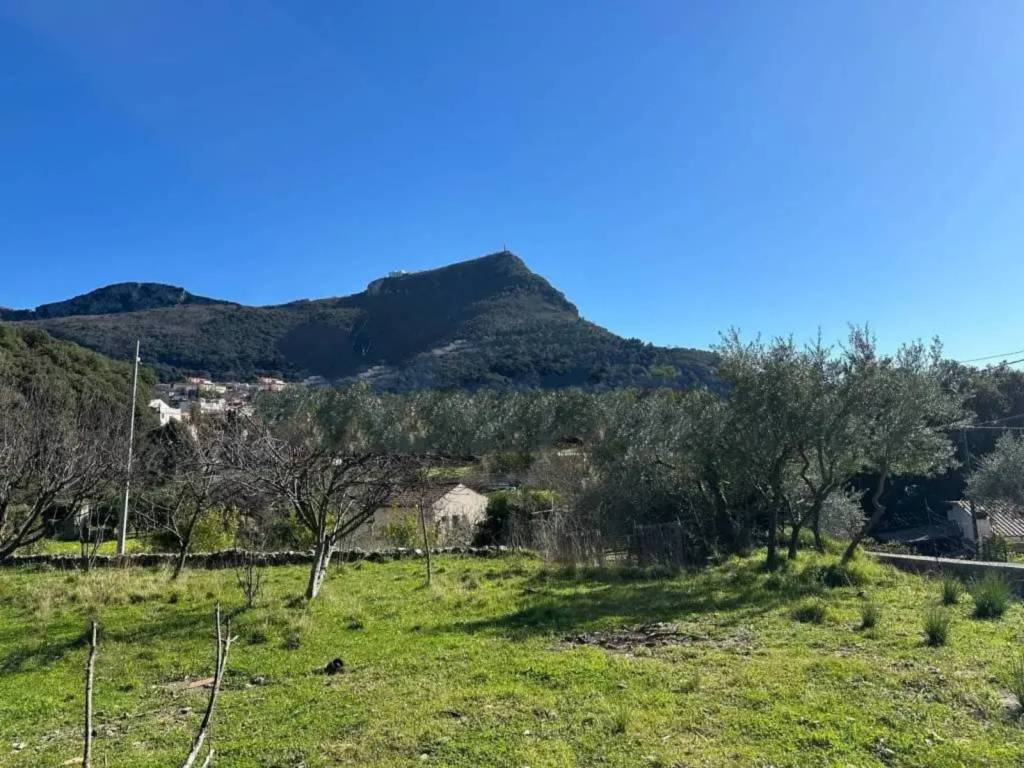 Rustico / casale a Maratea in Strada Provinciale Tirrena - Foto 5