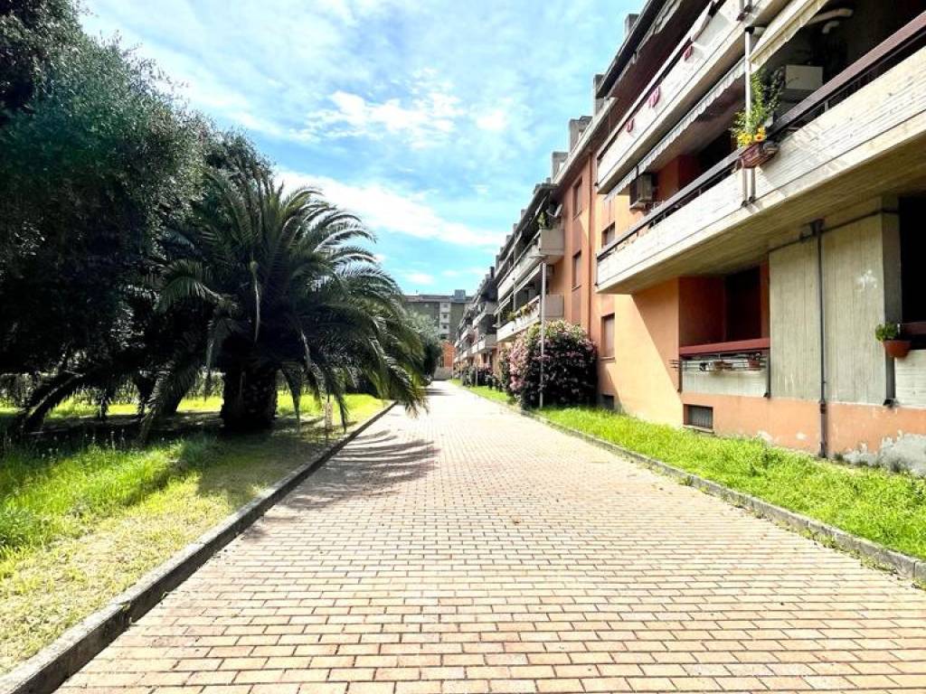 Appartamento a Ascoli piceno in Via dei Girasoli - Foto 2